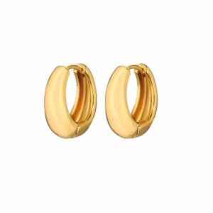 Mini Argola Oval Grossa (Chubby Hoop) em Aço Inoxidável